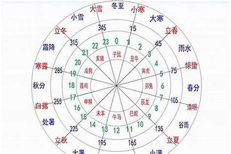 如何看八字五行|教你快速查自己的五行属性，入门篇（一看就会，一试就废）